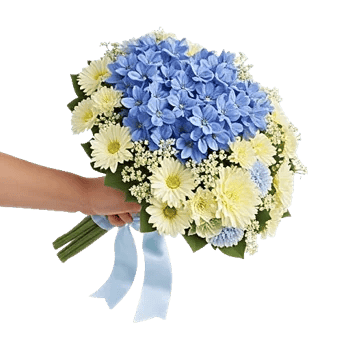 Serenity Blossom Grace