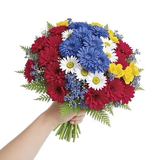 Blossom Petal Serenity