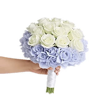 Serene Petal Harmony