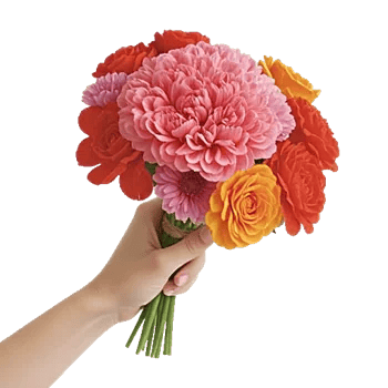 Coral Blossom Harmony