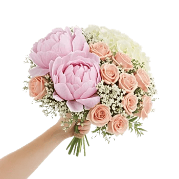 Peony Petal Harmony