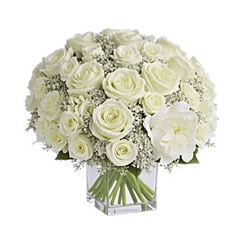 Delicate Petal Cascade