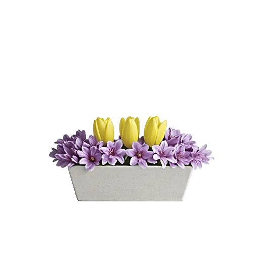 Blossom Harmony Display