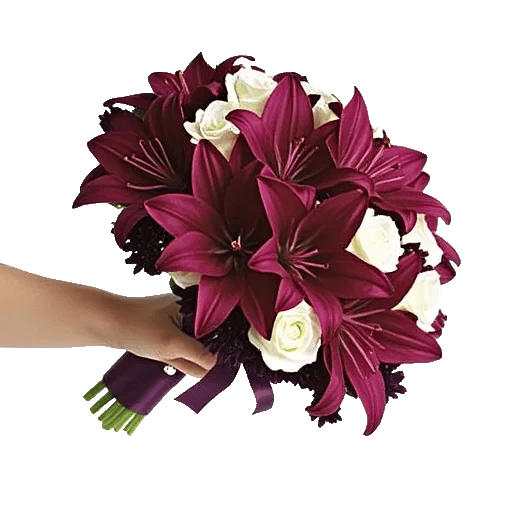 Blushing Rose Symphony