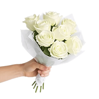 Ivory Garden Grace