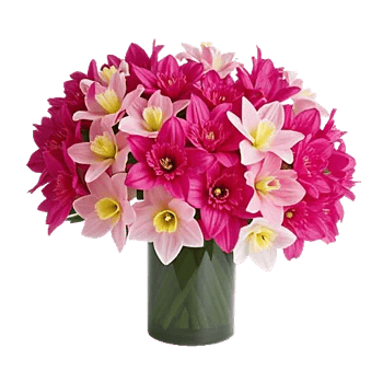 Petal Radiance Bliss