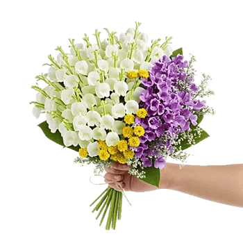 Ivory Blossom Radiance