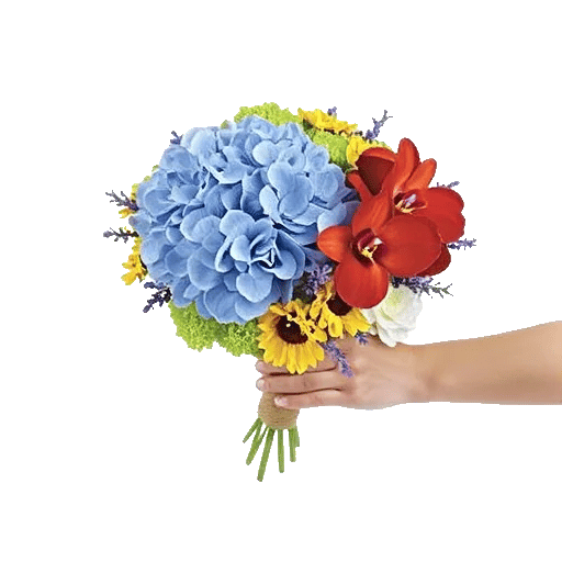 Serene Garden Harmony