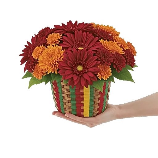 Crimson Blossom Harmony