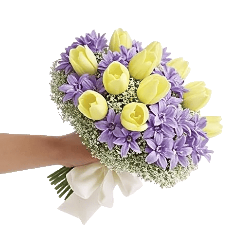 Blossom Harmony Display