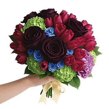 Crimson Rose Elegance