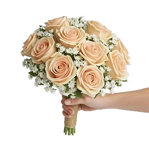 Pastel Pink Roses