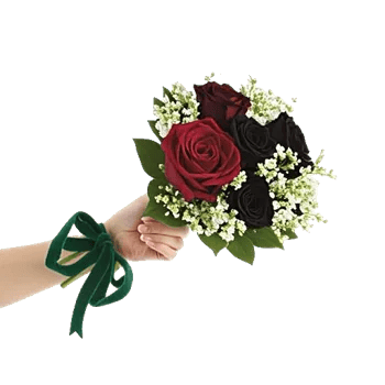 Crimson Rose Elegance