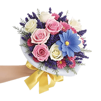 Blushing Rose Symphony