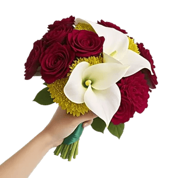 Elegant Calla Lilies