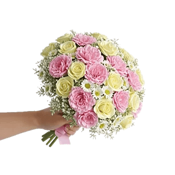 Pastel Pink Roses