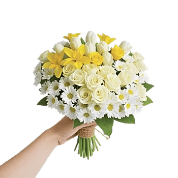 Blossom Harmony Display