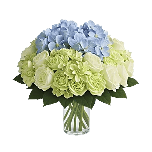 Serene Petal Harmony