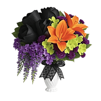 Modern White Orchids