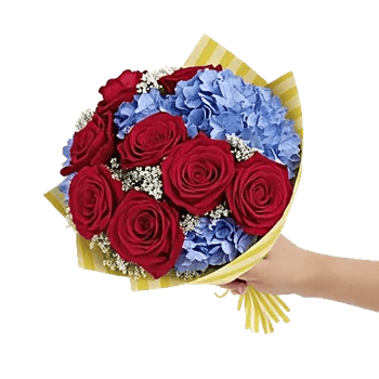 Serene Petal Harmony