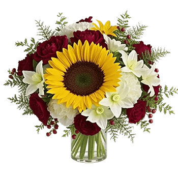Petal Radiance Bliss