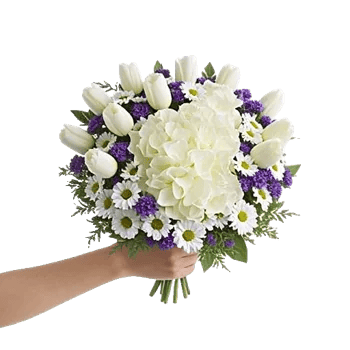 Blossom Harmony Display