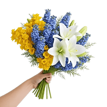 Blossom Harmony Display