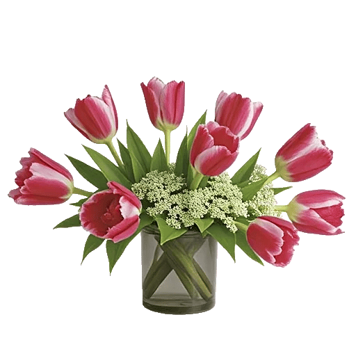 Velvet Tulip Display