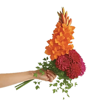 Radiant Bloom Cascade