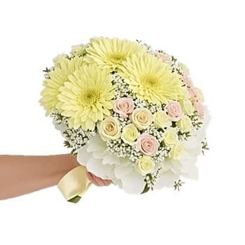 Blossom Harmony Display