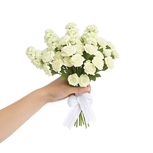 Delicate Petal Cascade