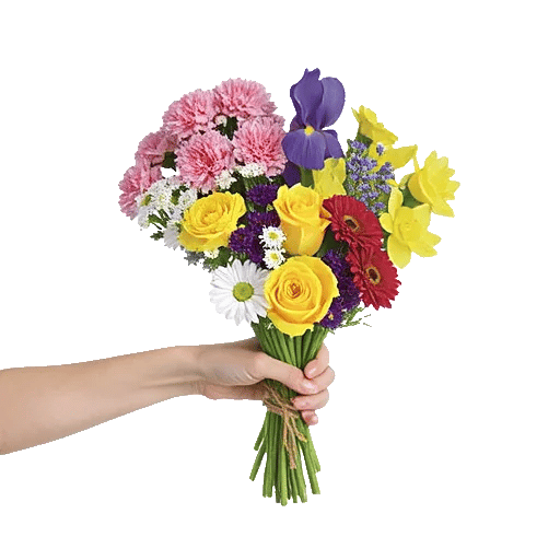 Petal Harmony Bliss