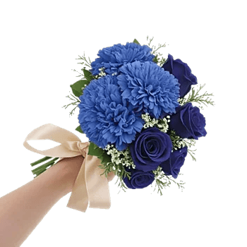 Elegant Blue Roses