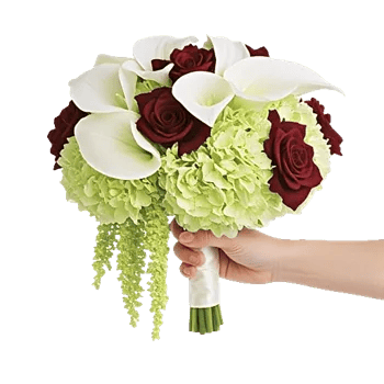 Elegant Calla Lilies