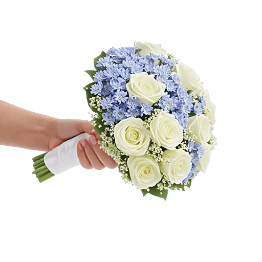 Blossom Petal Serenity