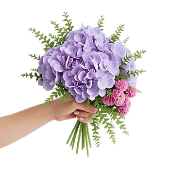 Serene Petal Harmony