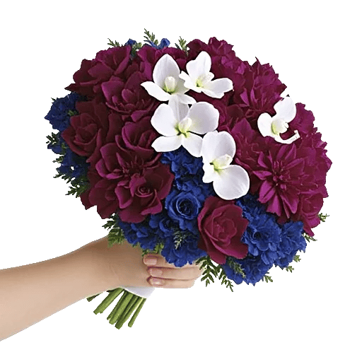 Sapphire Bloom Whisper