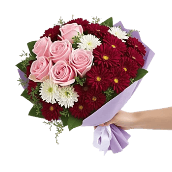 Blushing Rose Symphony