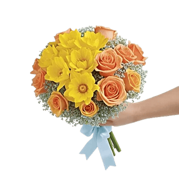 Petal Radiance Bliss