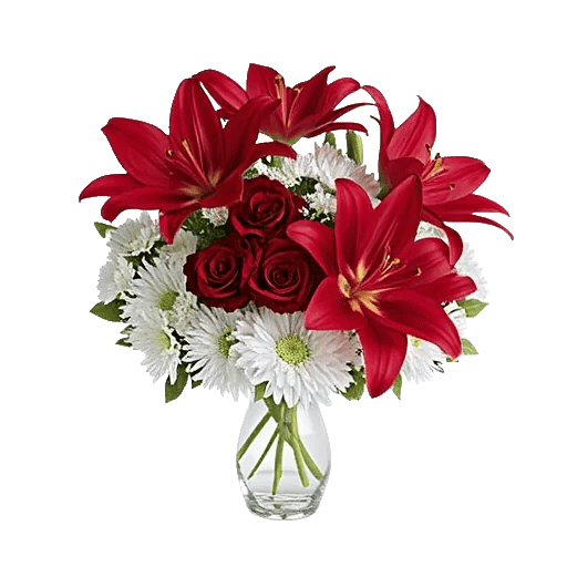 Crimson Lily Glow