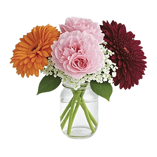 Petal Radiance Bliss