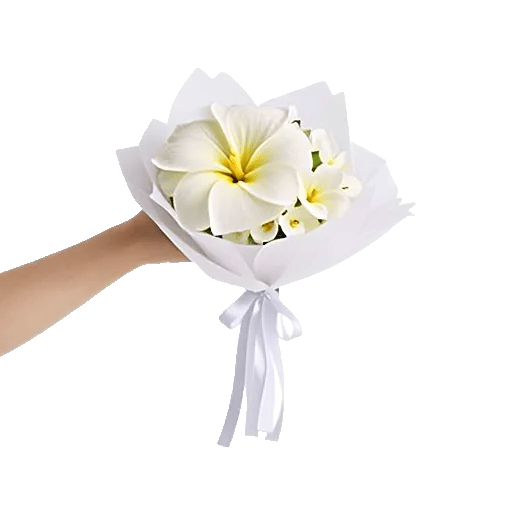 Modern White Orchids