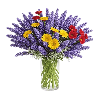 Lavender Bloom Grace