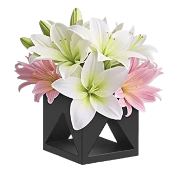 Graceful Lily Display