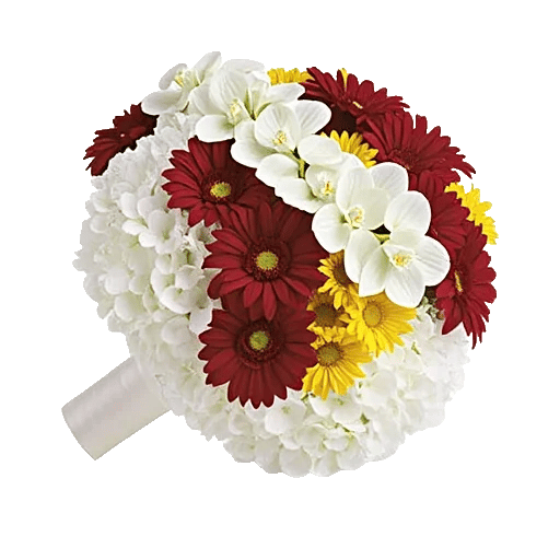 Petal Harmony Bliss