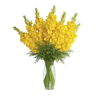 Radiant Bloom Cascade