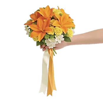 Orchid Bloom Cascade