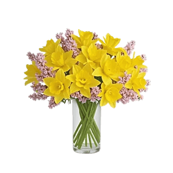 Petal Radiance Bliss