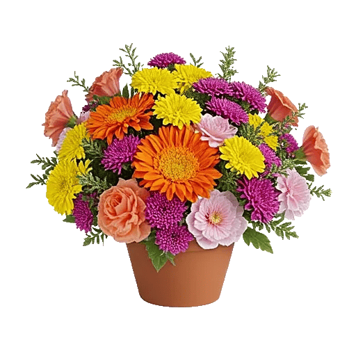 Vibrant Orange Delight