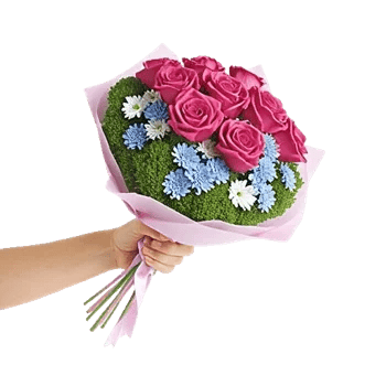 Pastel Pink Roses